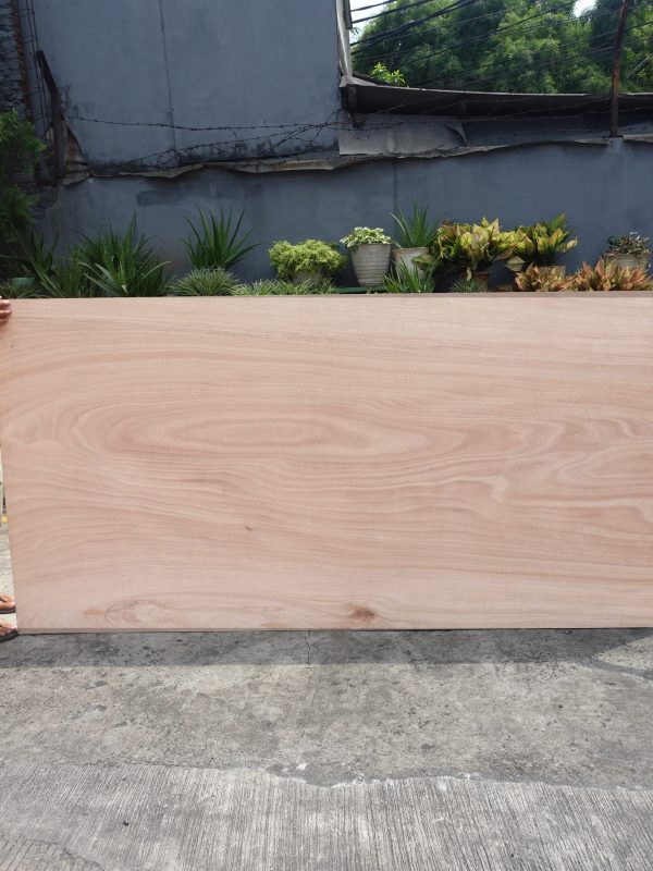 TOS WBP PLYWOOD