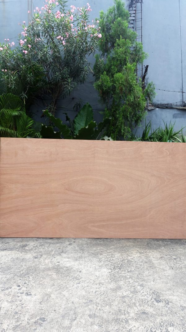 TOS SIGNATURE PLYWOOD